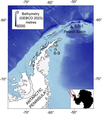 Network analyses on photographic surveys reveal that invertebrate predators do not structure epibenthos in the deep (~2000m) rocky Powell Basin, Weddell Sea, Antarctica